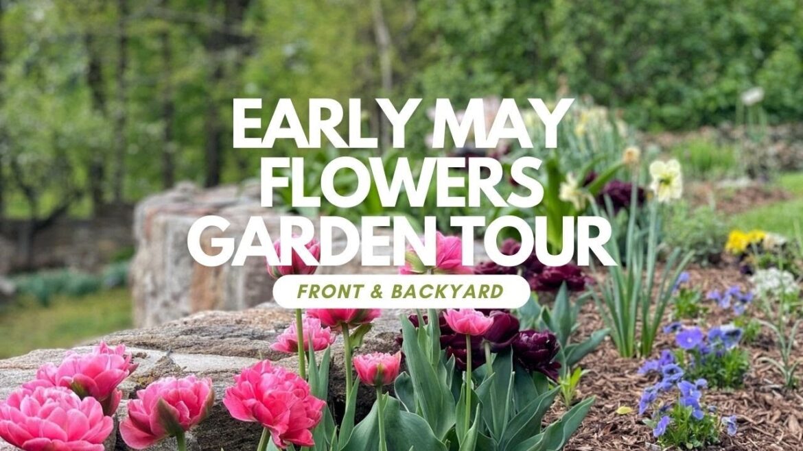 Early May Flowers Garden Tour || Spring Garden Ideas || Brick ’n Blooms