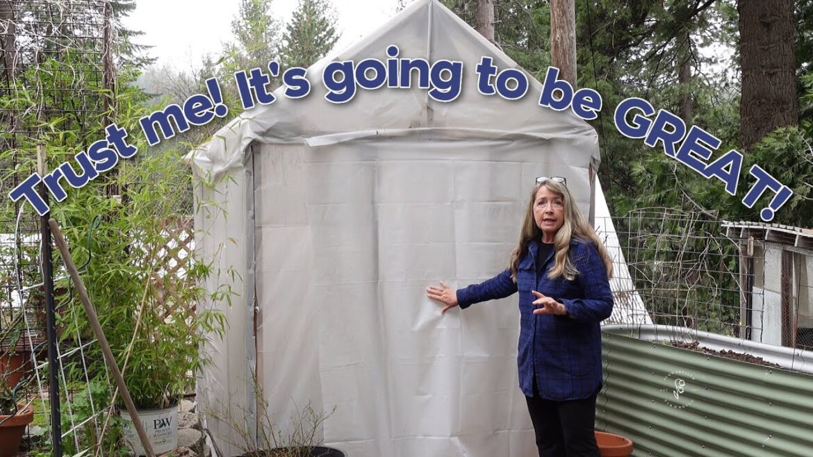 Another Greenhouse? Yep, I am going to get TOMATOES earlier!