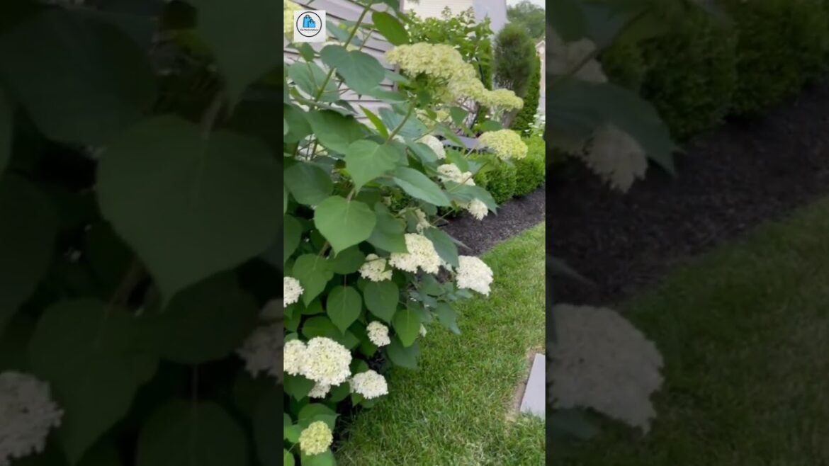 Backyard Garden Area Design Ideas Count 4 – Interior Design Ideas Backyard Garden Area Design Ideas Count 4 - Interior Design Ideas