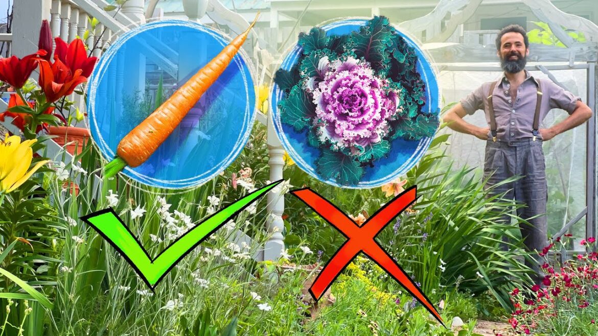 Siloé Oliveira: 7 Vegetables that Double as Ornamentals for the Cottage Garden, RANKED 7 Vegetables that Double as Ornamentals for the Cottage Garden, RANKED