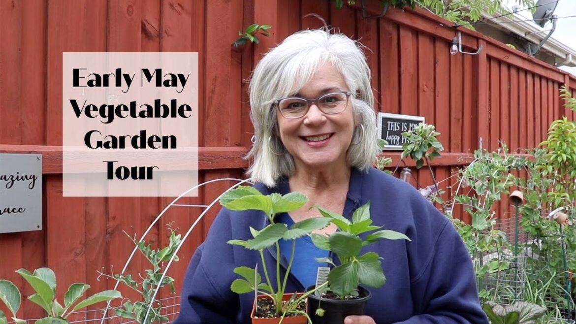 Vegetable Garden Tour Early May | Container Garden