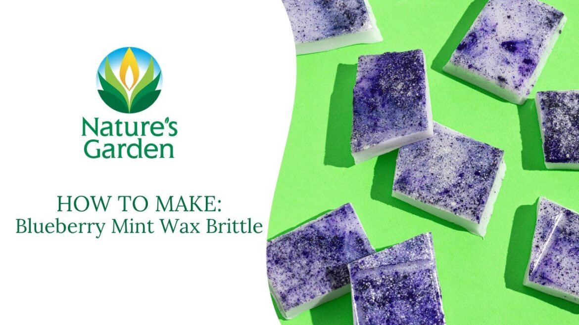 Blueberry Mint Wax Melts- Natures Garden