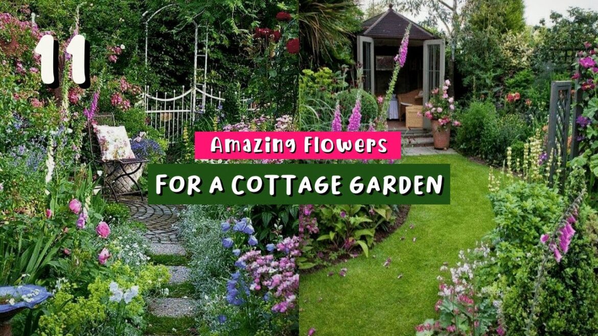 Cottage Garden Ideas: 11 Best Flowers for a Cottage Garden πππ Cottage Garden Ideas: 11 Best Flowers for a Cottage Garden πππ