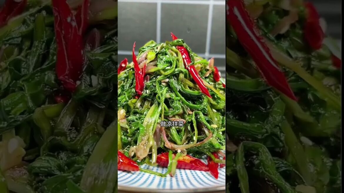 how to growth vegetable /gardening ideas for home