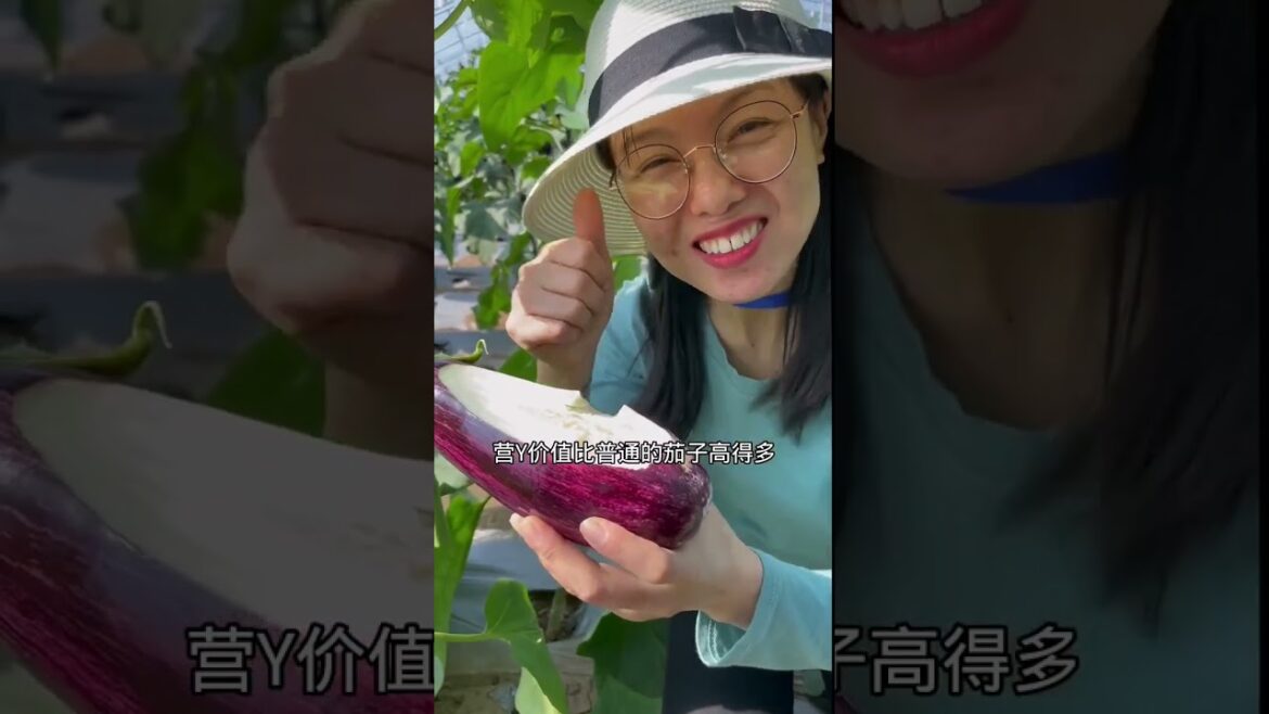how to growth vegetable /gardening ideas for home