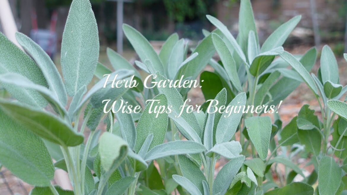 ‘Ready, Set, Grow!’: Herb Gardening Tips for Beginners 'Ready, Set, Grow!': Herb Gardening Tips for Beginners