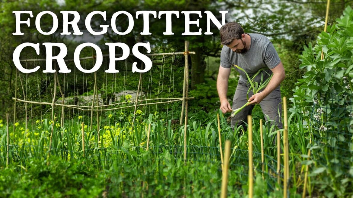 The Biggest Mistake Gardeners Make in May