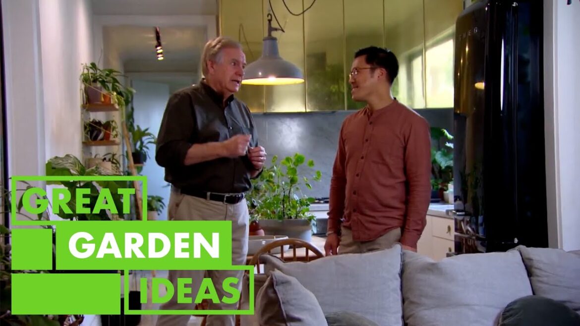 Potted Plants 101 | GARDEN | Great Home Ideas Potted Plants 101 | GARDEN | Great Home Ideas