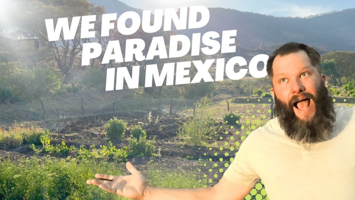 Inspiring Garden Design Ideas for Sustainability