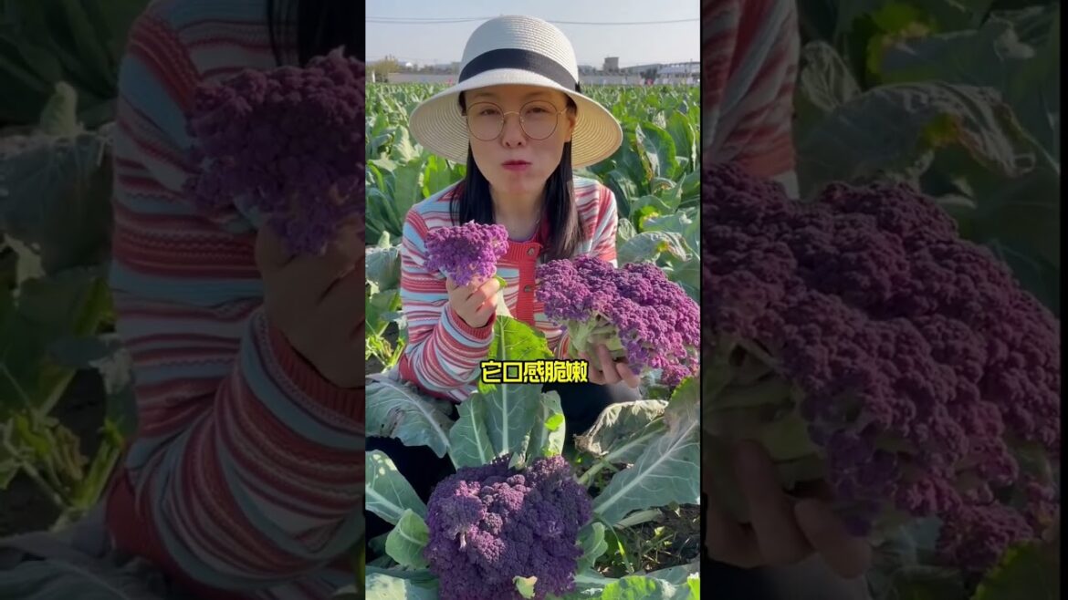 how to growth vegetable /gardening ideas for home how to growth vegetable /gardening ideas for home