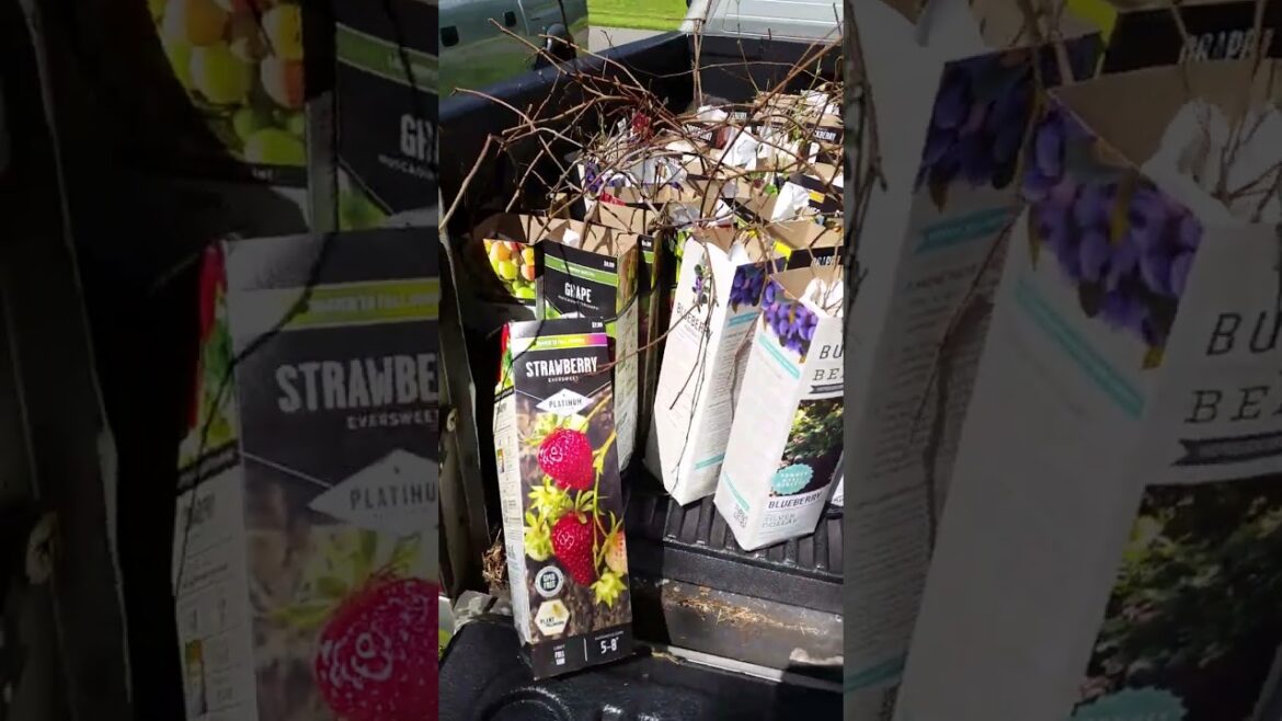 I Got Hooked Up at Tractor Supply!!! Thanks Y'all