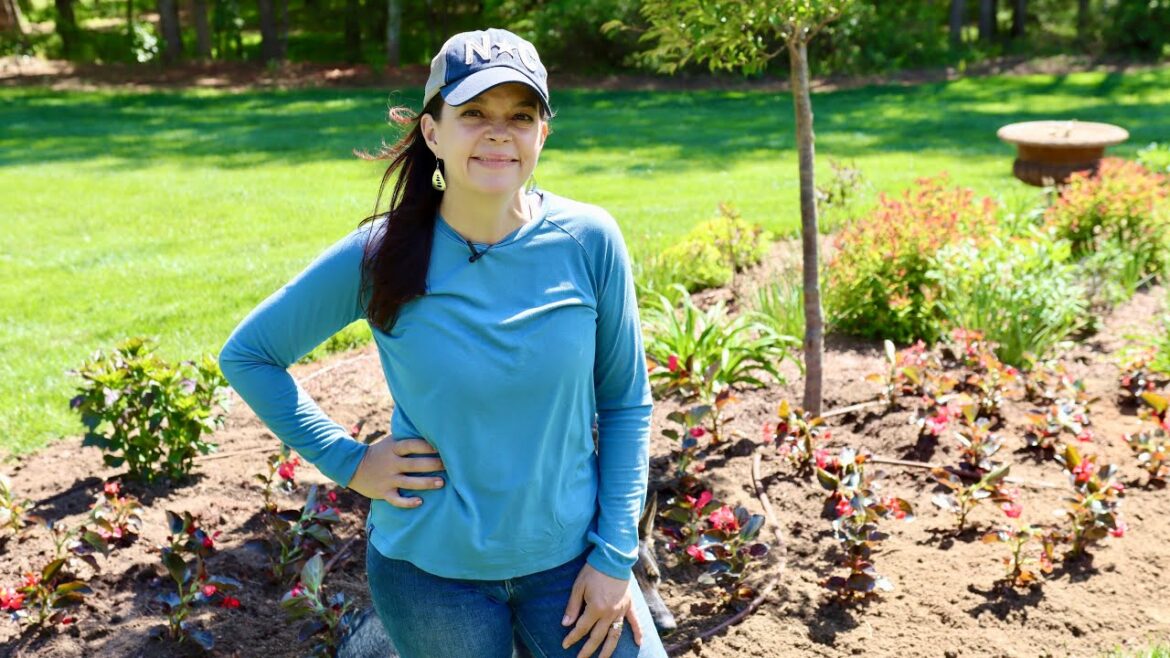 Adding Heat-Tolerant Color to the Backyard Garden | Gardening with Creekside