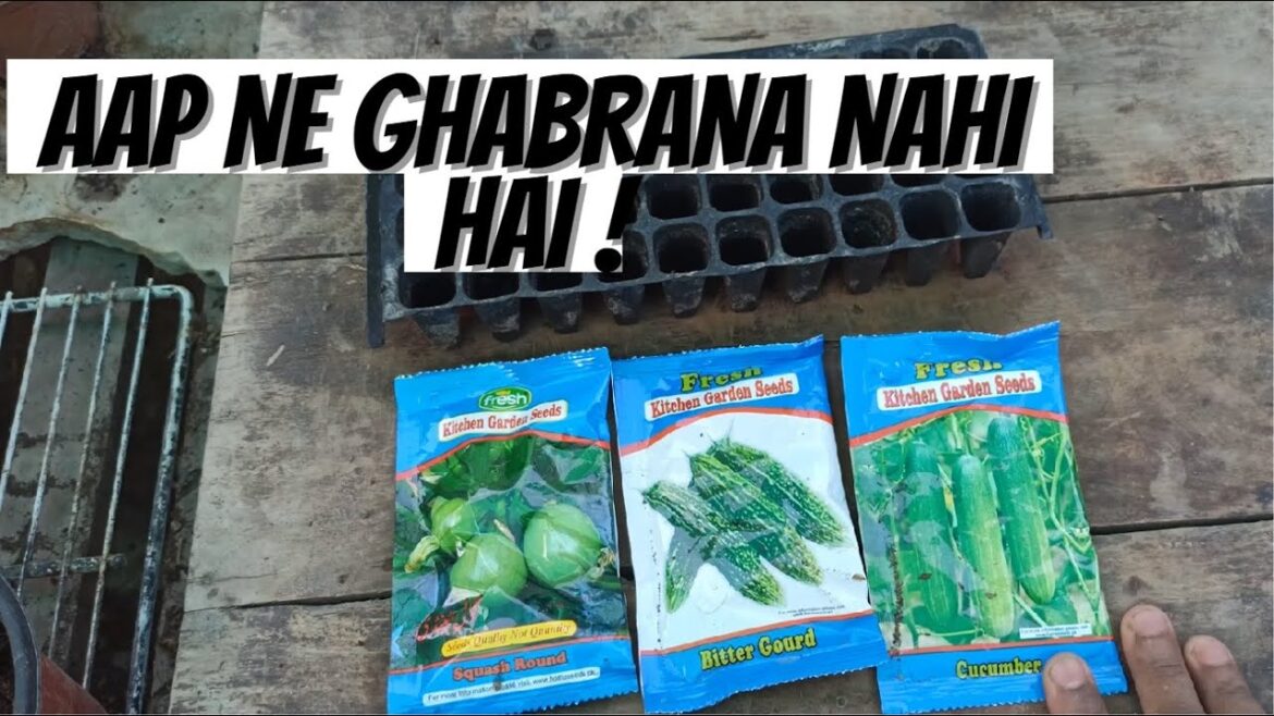 MAY key mahine mein Kon Kon si Sabzian lagayein