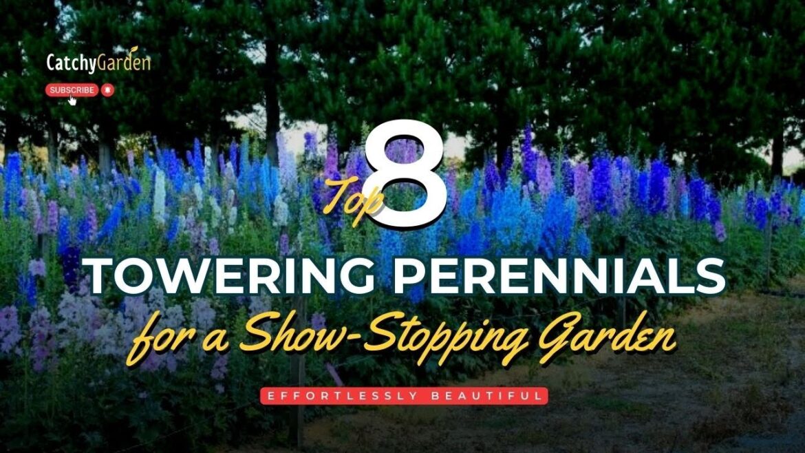 Top 8 Towering Perennials for a Show Stopping Garden π·πΉπ‘ // Gardening Ideas Top 8 Towering Perennials for a Show Stopping Garden π·πΉπ‘ // Gardening Ideas