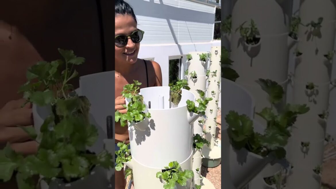 Vertical Tower Garden Assembly #towergarden #howtoassemble
