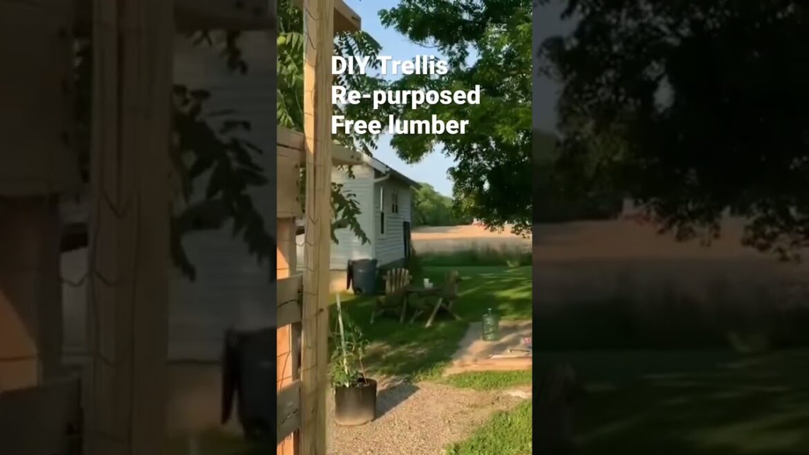 DIY Plant Trellis #bubba #gardeningtips #gardenideas