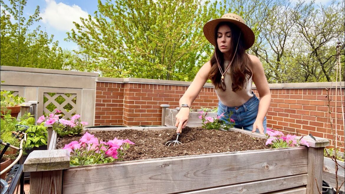 How I Refresh Potting Soil in My Raised Beds | Container Gardening