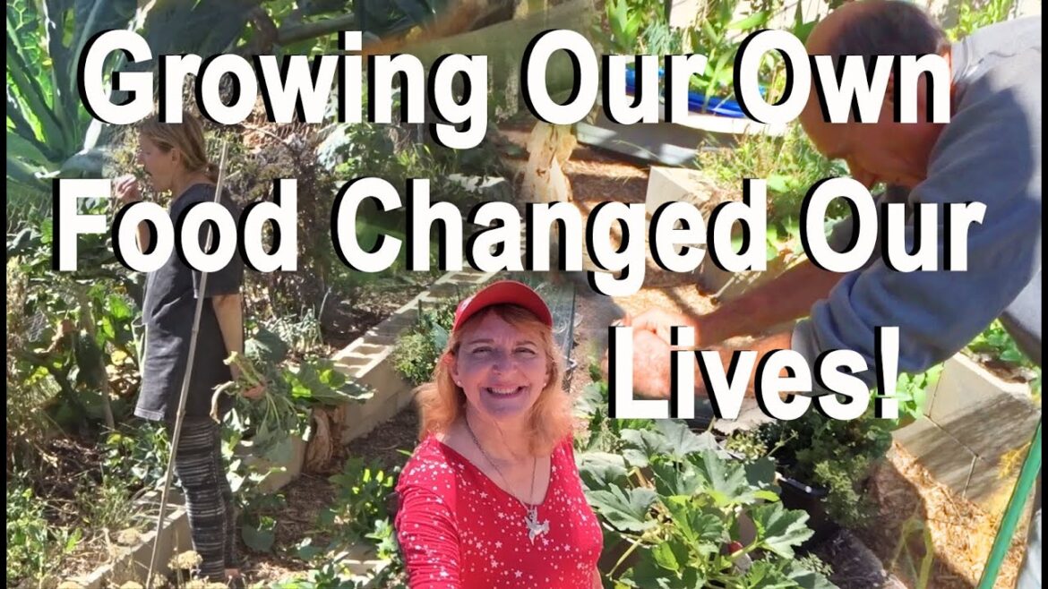 “Gardening for Health Actually Works” Tips on Growing All our Food Easy in Container-Soil-Woodchips "Gardening for Health Actually Works" Tips on Growing All our Food Easy in Container-Soil-Woodchips