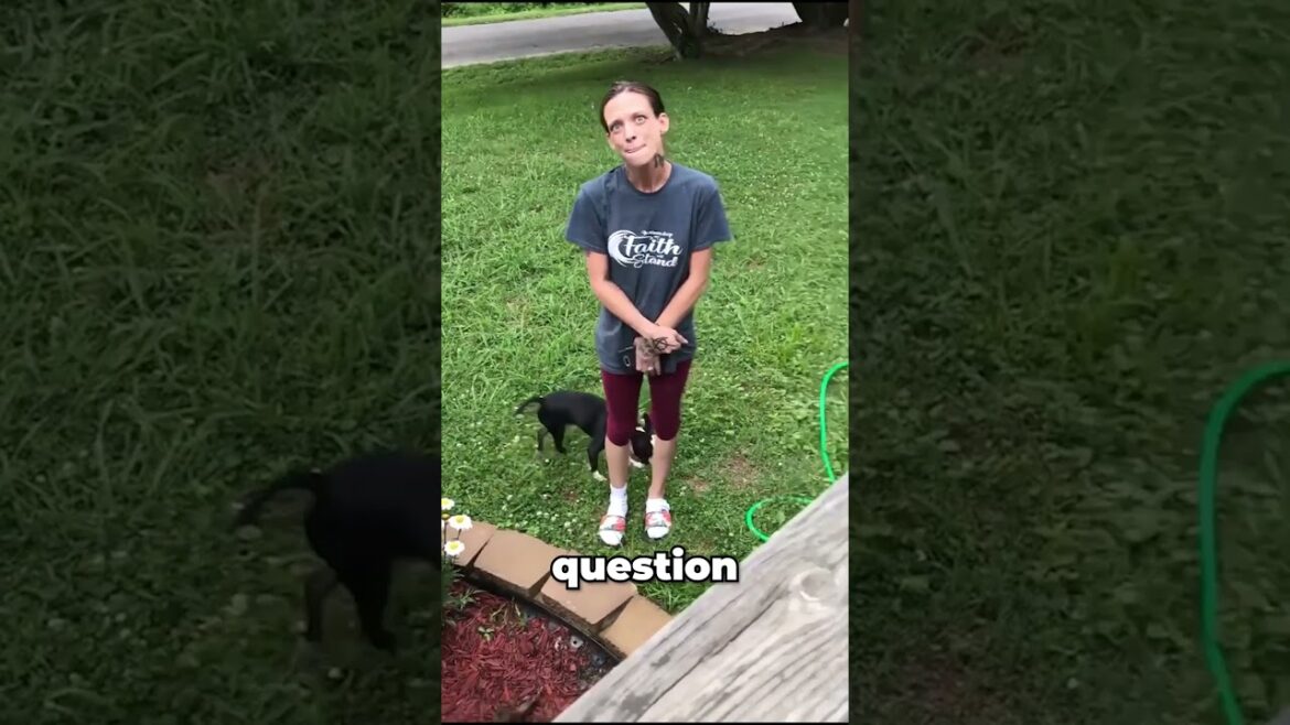 Man Soaks Neighbors With Garden Hose ๐ณ Man Soaks Neighbors With Garden Hose ๐ณ