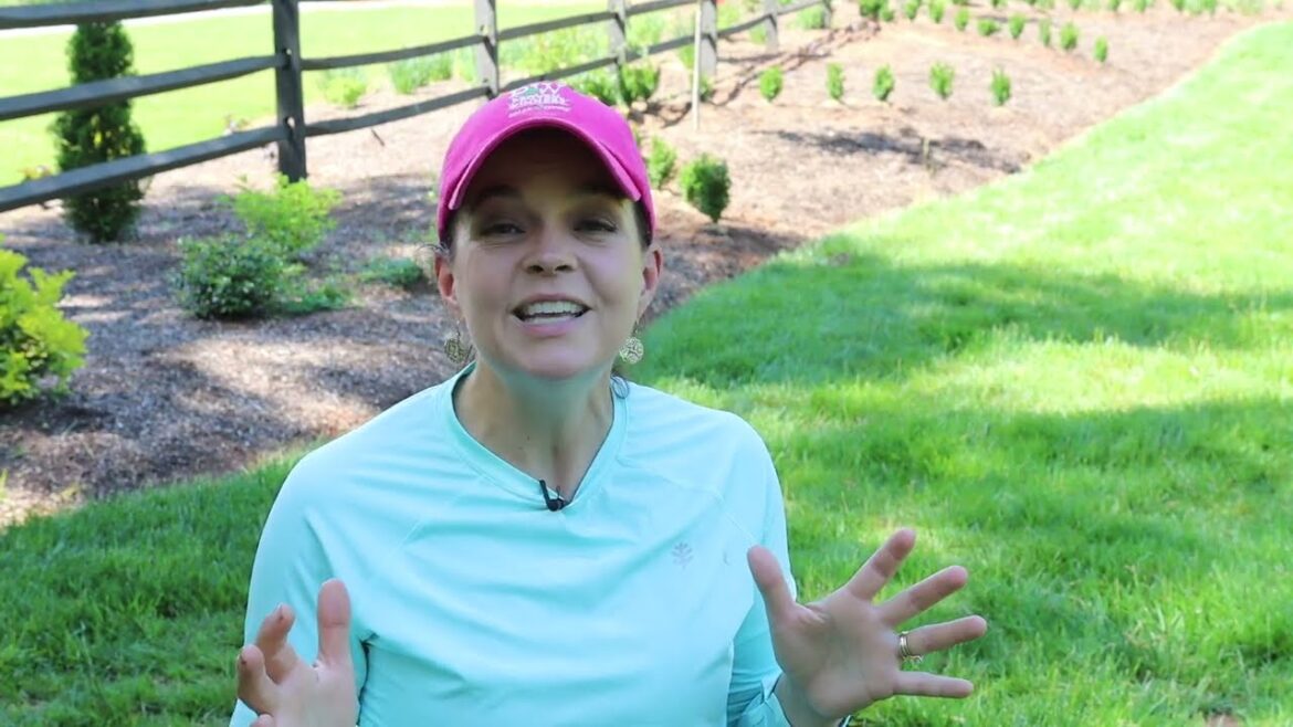 Beginning Jerry's Massive Color-Filled Project | Gardening with Creekside