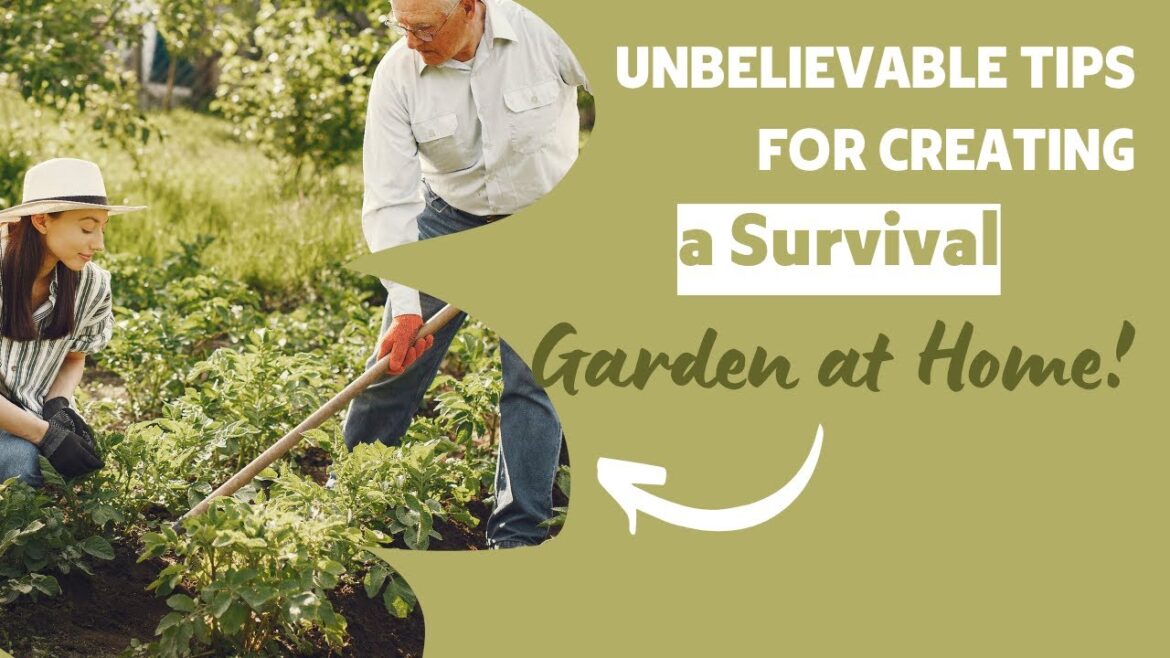Unbelievable Tips for Creating a Survival Garden at Home