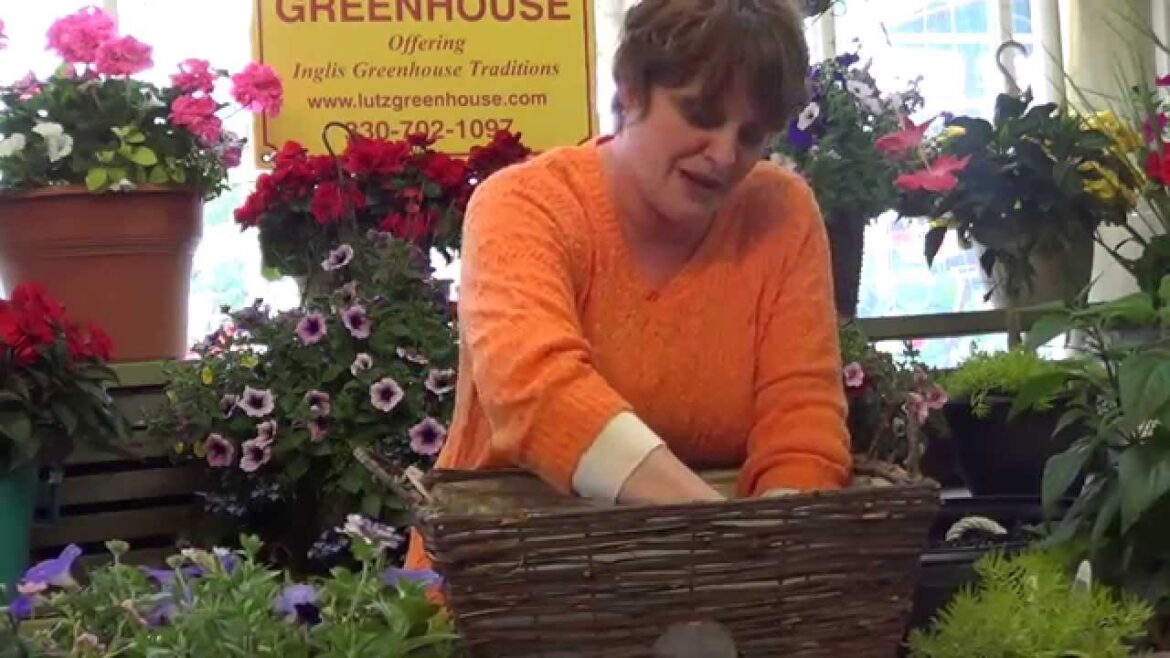 Lutz Greenhouse How to plant a container garden for sun