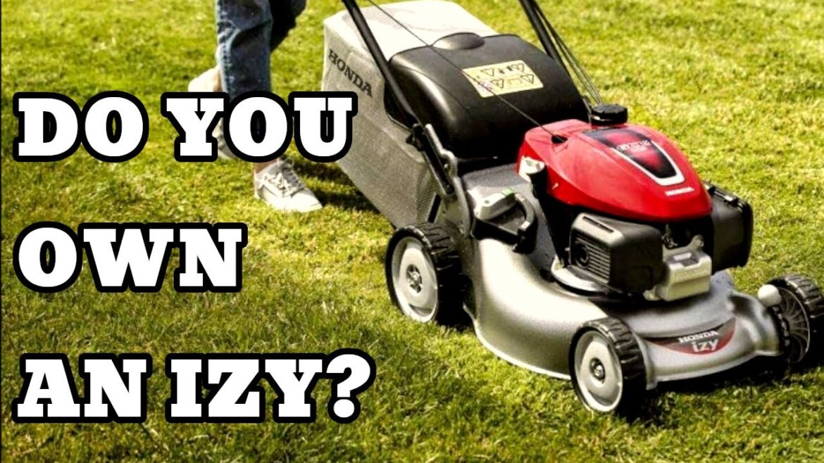 HELP a fellow gardener! HELP a fellow gardener!