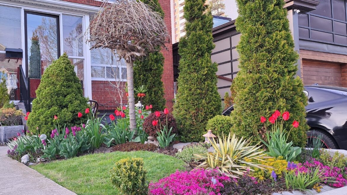 A Tiny Garden Space | Front Yard Garden Tour