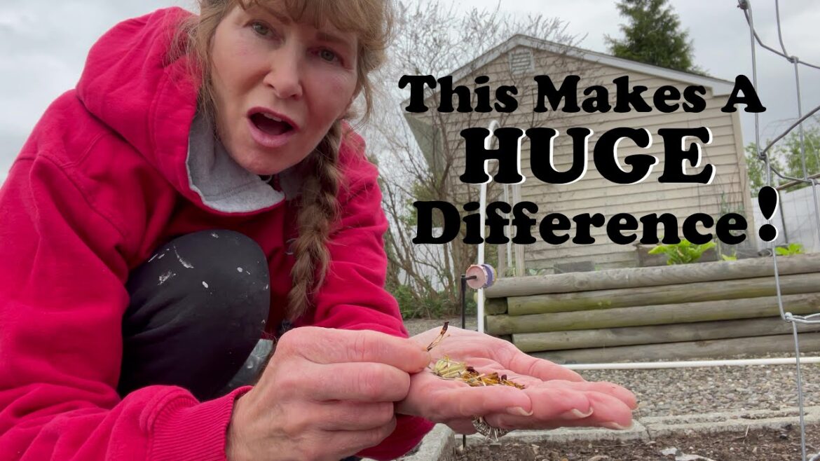 DO THIS TO PROTECT YOUR GARDEN!