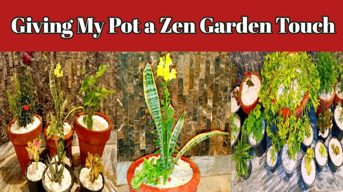 FLOWER POTS DECORATION /Zen Garden Ideas/Chillout Music /garden vlog