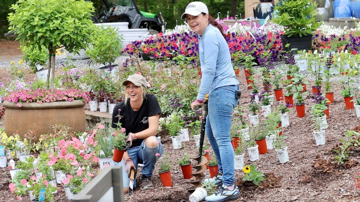 Installing a Massive Display Garden | Gardening with Creekside Installing a Massive Display Garden | Gardening with Creekside