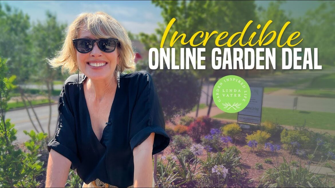 Great Garden Deal and an Edging Tip