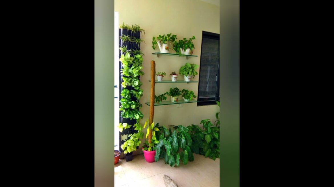 Beautiful indoor garden ideas//Home decors//GSKLibrary 🎉🎊🧚/