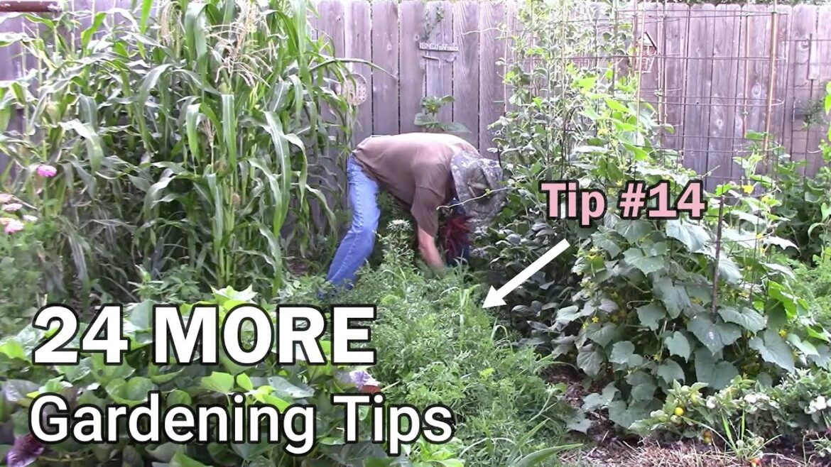 24 More Gardening Tips That Any Gardener Can Use – Beginner Or Experienced 24 More Gardening Tips That Any Gardener Can Use - Beginner Or Experienced