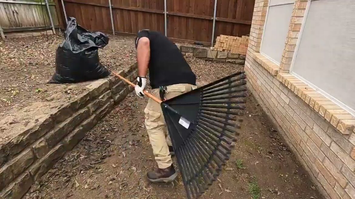 Spring CLEAN UP, leaves, grass cut, in SNAKE INFESTED BACKYARD Landscape Design | Lawn Care Spring CLEAN UP, leaves, grass cut, in SNAKE INFESTED BACKYARD Landscape Design | Lawn Care