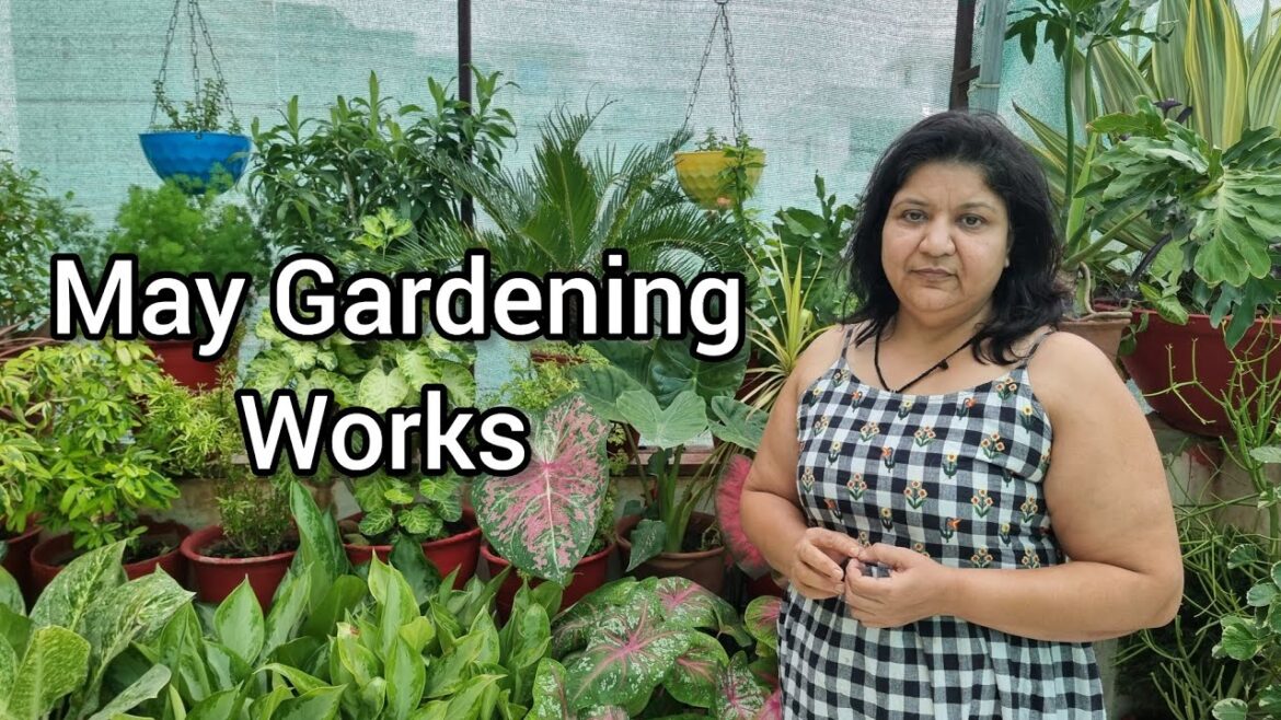 May gardening works || मई के महिने में गार्डन में करें यह ज़रूरी काम || Summer garden care