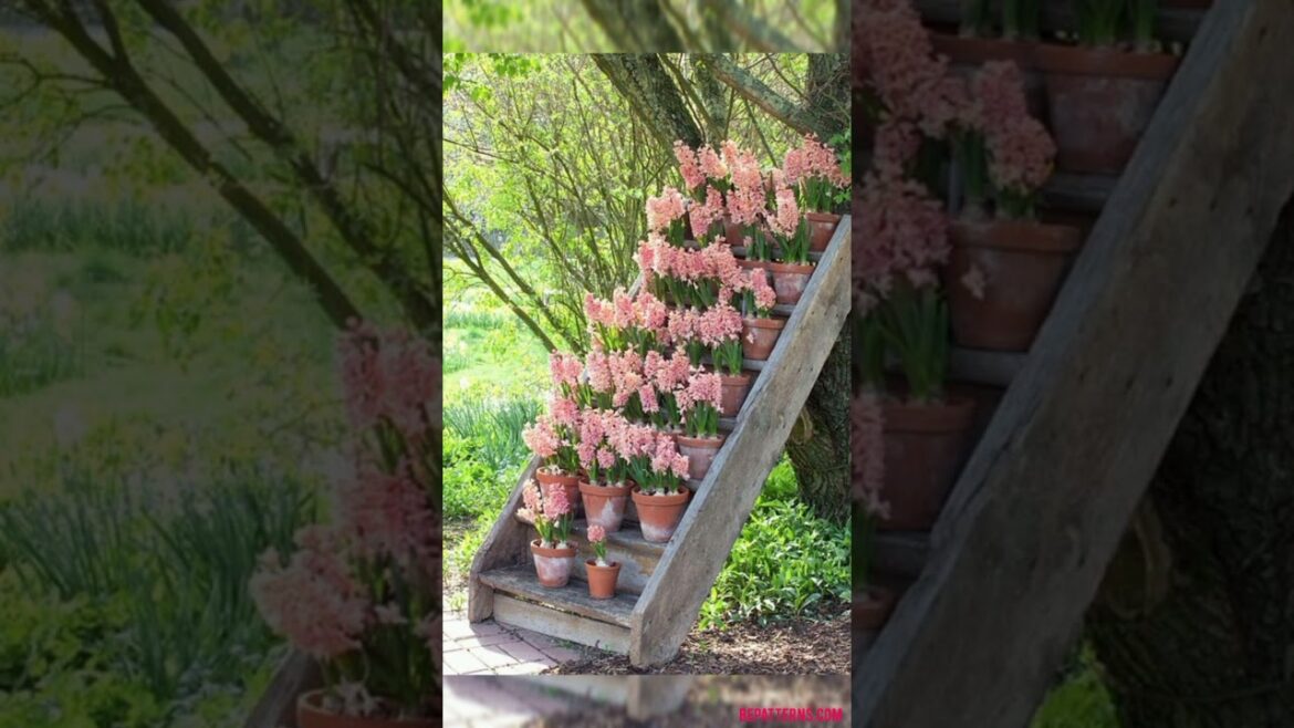 gardening ideas for home #gardening #hanging #shorts