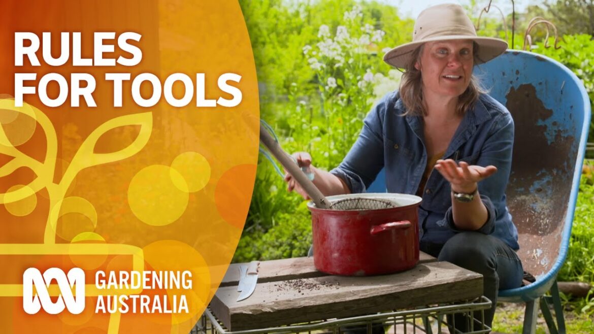 Save money with Millie’s rules for tools | Gardening 101 | Gardening Australia Save money with Millie's rules for tools | Gardening 101 | Gardening Australia
