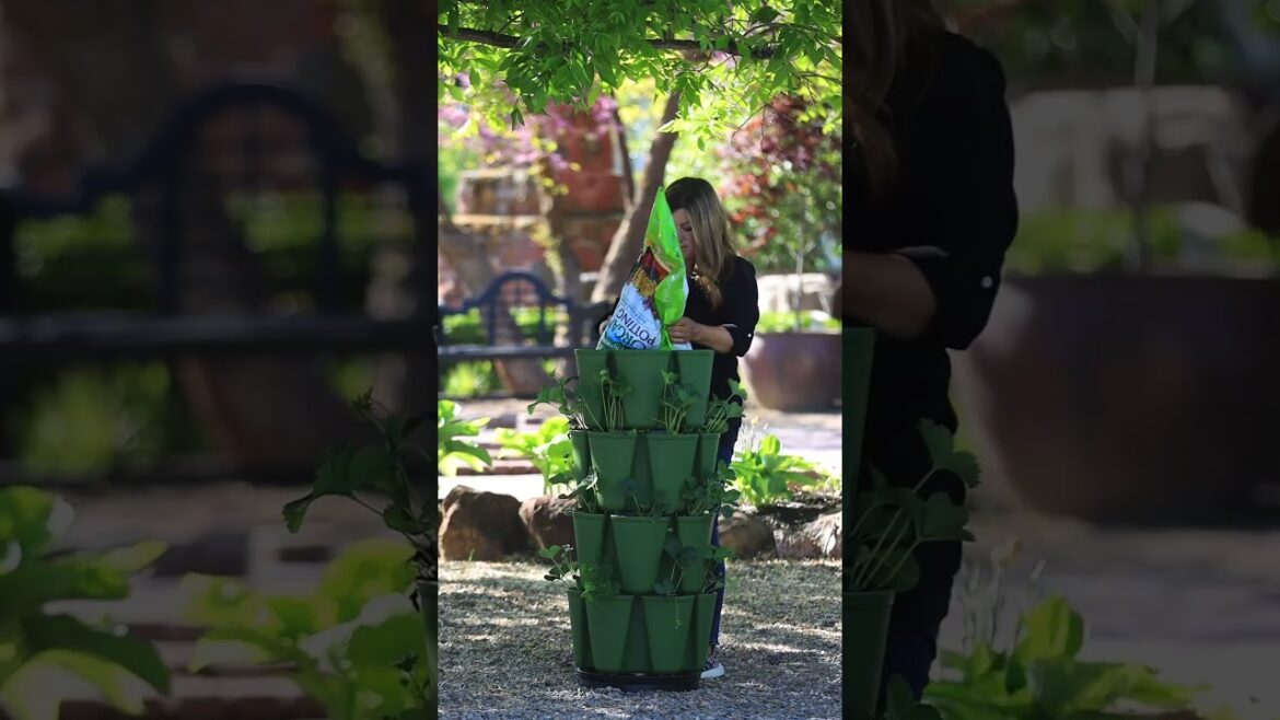 Planting a Vertical Strawberry Garden! 🍓🙌😍