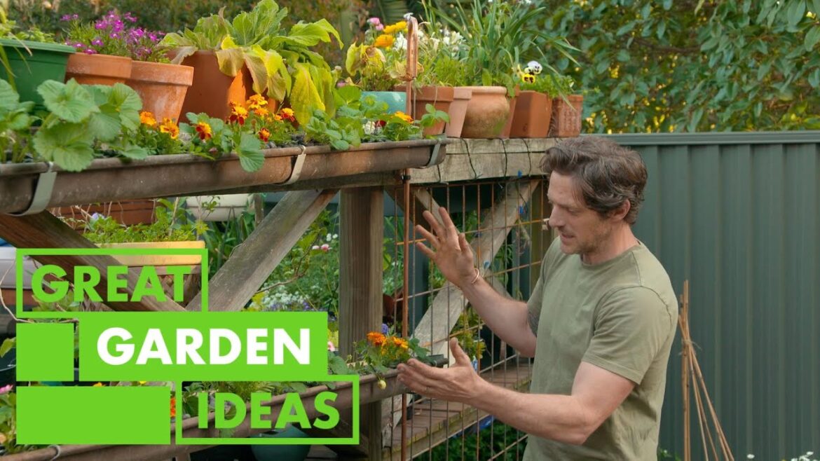 Mini Garden Project | GARDEN | Great Home Ideas Mini Garden Project | GARDEN | Great Home Ideas
