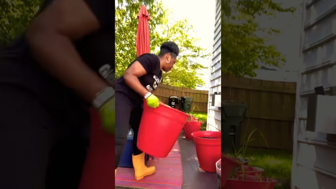 How to Expand A Small Space Garden! #shorts