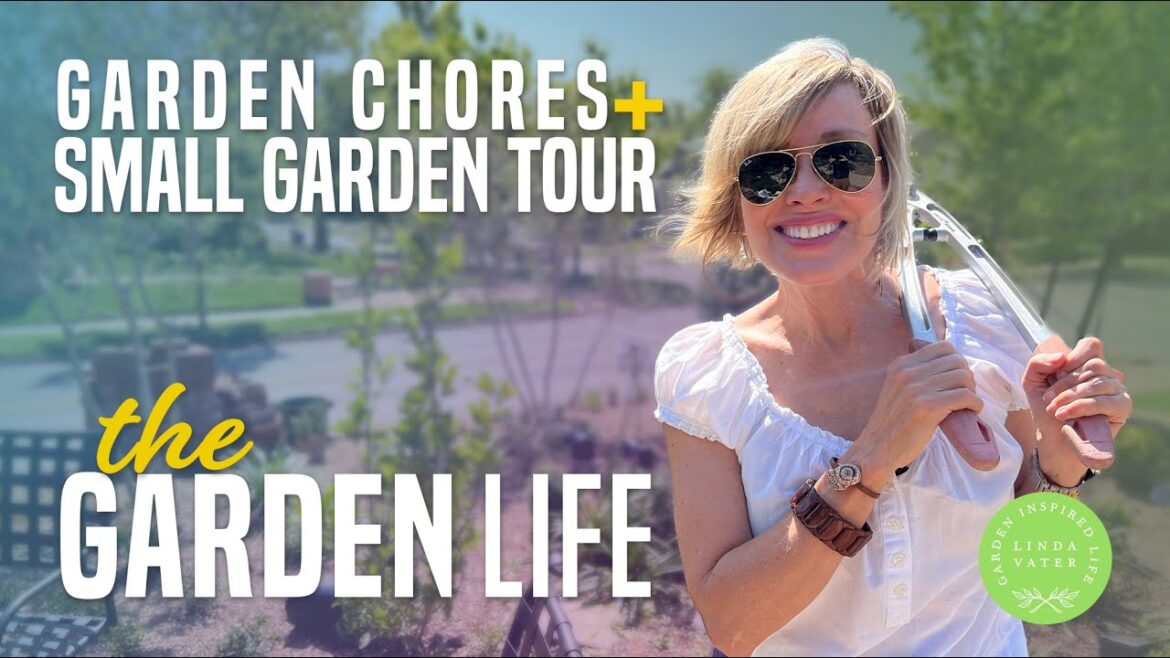 Must See Small Garden Tour Must See Small Garden Tour
