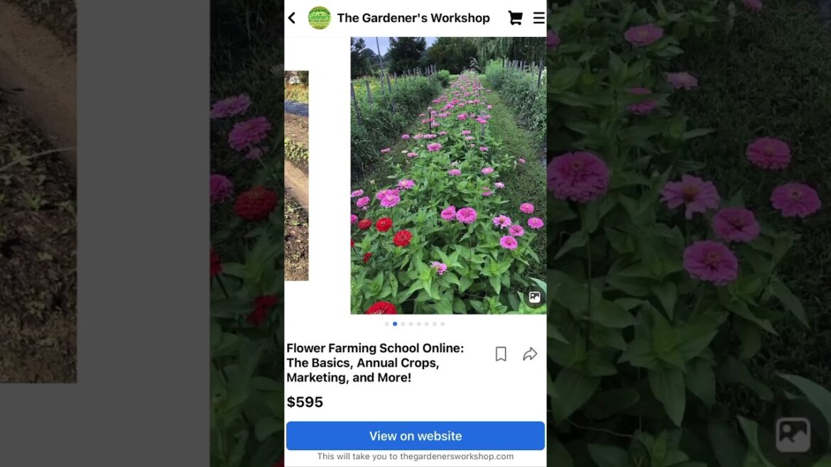 Cool Flowers in abundance at the TGW Flower Farm