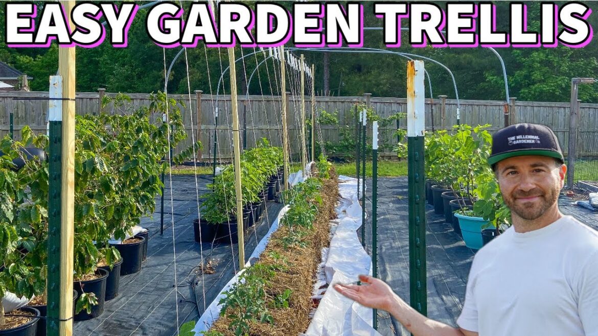 This GARDEN TRELLIS Will Fit Almost ANYWHERE! It's So EASY And CHEAP!