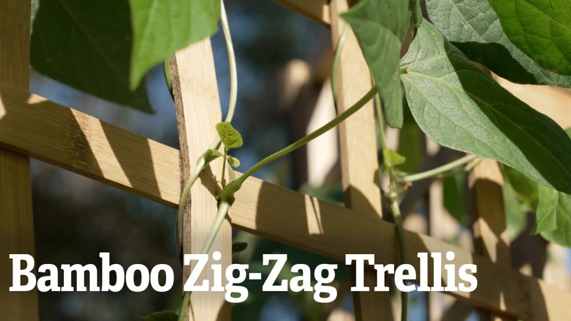 Bamboo Zig-Zag Trellis Bamboo Zig-Zag Trellis