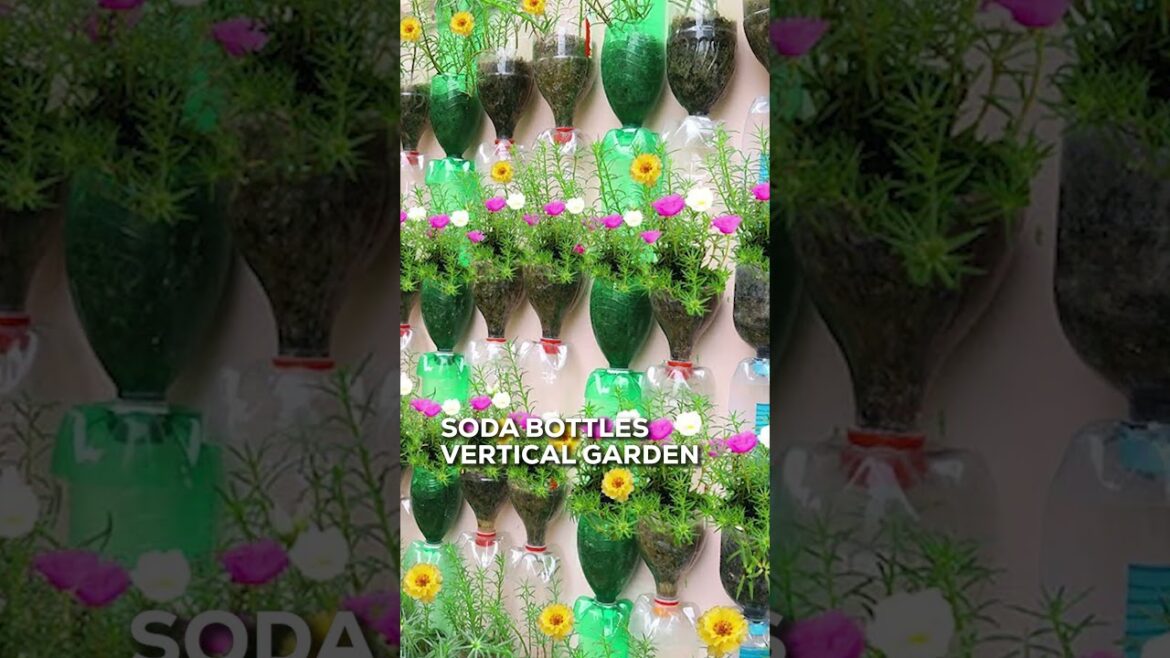 DIY Vertical Gardening Ideas #youtubeshorts #gardeningtips #shortvideo