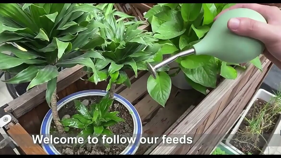 The Tech Guru | Self Watering Garden Irrigation System Dripper for watering at home |The Tech Guru
