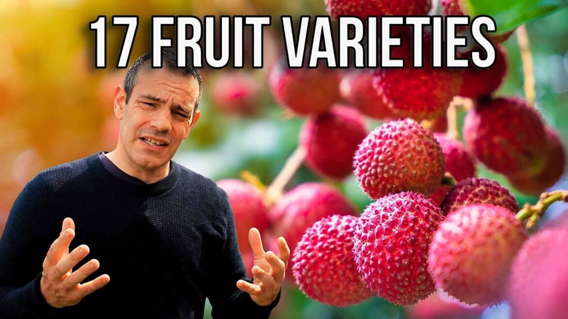 Discover My 17 Homegrown Fruit Varieties: Garden Tour 2023