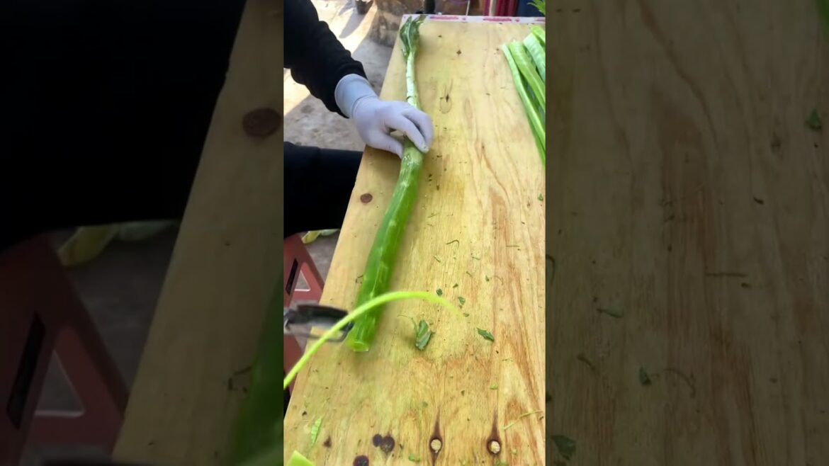 Vegetable skills! #vegetables #lifestyle G4765