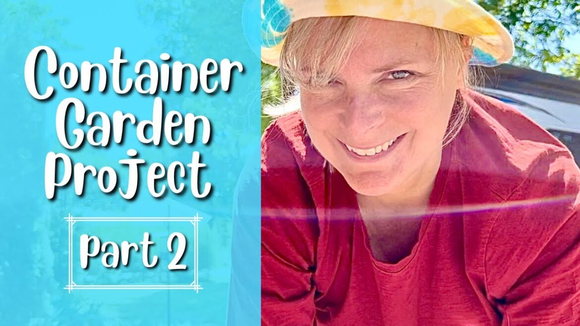 Container Garden Project – Part 2 Container Garden Project - Part 2